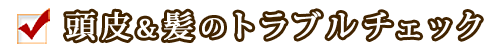 頭皮・髪のトラブル度チェック！