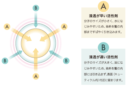 ダブルレイヤー処方　浸透が早い活性剤：分子のサイズが小さく、水になじみやすいため、染料を髪の内部まですばやく引き込みます。／浸透が遅い活性剤：分子のサイズが大きく、油になじみやすいため、染料を髪の内部には引き込まず、表面（キューティクル内）付近に留まります。