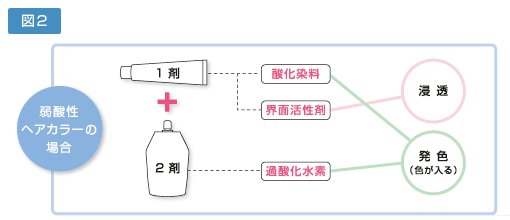 図２ 弱酸性ヘアカラーの場合