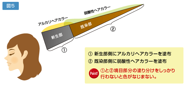 1：新生部側にアルカリヘアカラーを塗布　2：既染部側に弱酸性ヘアカラーを塗布