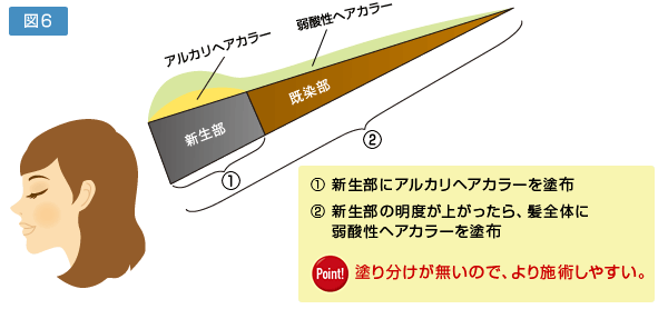 図6：新生部にアルカリヘアカラーを塗布、新生部の明度が上がったら、髪全体に弱酸性ヘアカラーを塗布