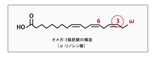 オメガ3脂肪酸の構造（α-リノレン酸）
