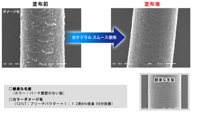 カテドラルスムース使用後の毛髪イメージ