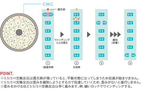 POINT.●ＳＳ/ＳＨ交換反応は還元剤が残っていると、平衡状態になってしまうため伝達が始まりません。●ＳＳ/ＳＨ交換反応は歪みを緩和しようとする力で伝達していくため、歪みがないと進行しません。●歪みをかけるほどＳＳ/ＳＨ交換反応は早く進みます。例：細いロッドでワインディングする