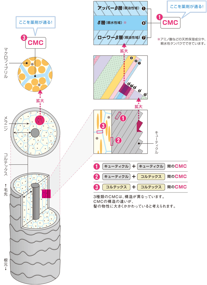 髪の中の接着剤、CMC