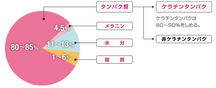 髪の成分