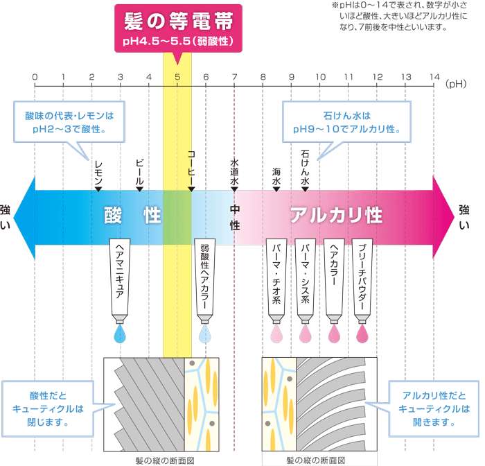 髪とpH（アルカリ性・酸性を示す数値）はどのような関係にあるのでしょうか