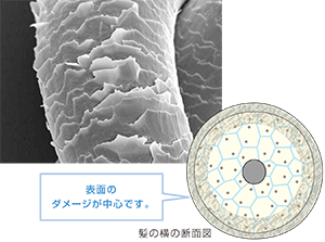 ヘアカラーを繰り返した髪の表面