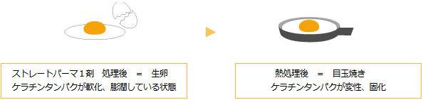 ゆでたまごが生卵に戻らないように、一度変性したタンパク質は決して元には戻りません。