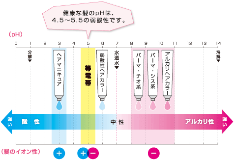 健康な髪のpHは、4.5～5.5％の弱酸性です。