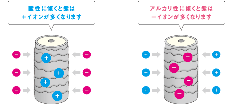 髪とpHの関係