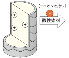 酸性状態