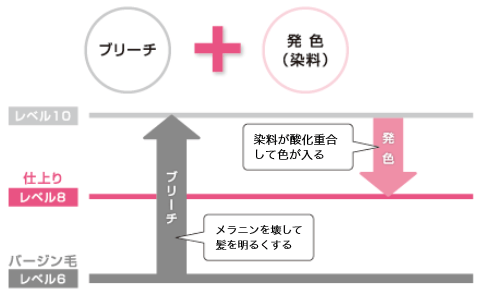 ブリーチ＋発色（染料）