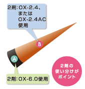 新生部、既染部のイメージ　2つの使い分けがポイント