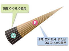 新生部、既染部のイメージ