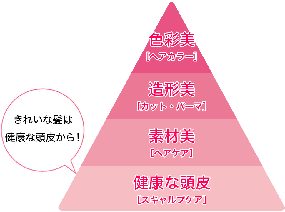 きれいな髪は健康な頭皮から！