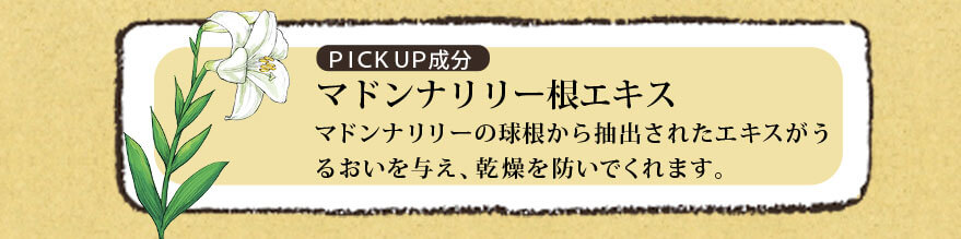 マドンナリリー根エキス マドンナリリーの球根から抽出されたエキスがうるおいを与え、乾燥を防いでくれます。