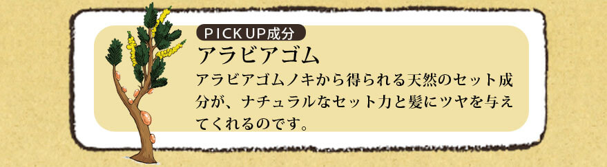 アラビアゴム アラビアゴムノキから得られる天然のセット成分が、ナチュラルなセット力と髪にツヤを与えてくれるのです。