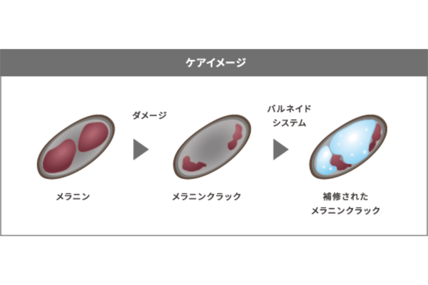 画像に alt 属性が指定されていません。ファイル名: DEMI-LABO-%E3%82%B5%E3%83%A0%E3%83%8DW840%C3%97H560px%E3%81%AE%E3%82%B3%E3%83%94%E3%83%BC-2.png
