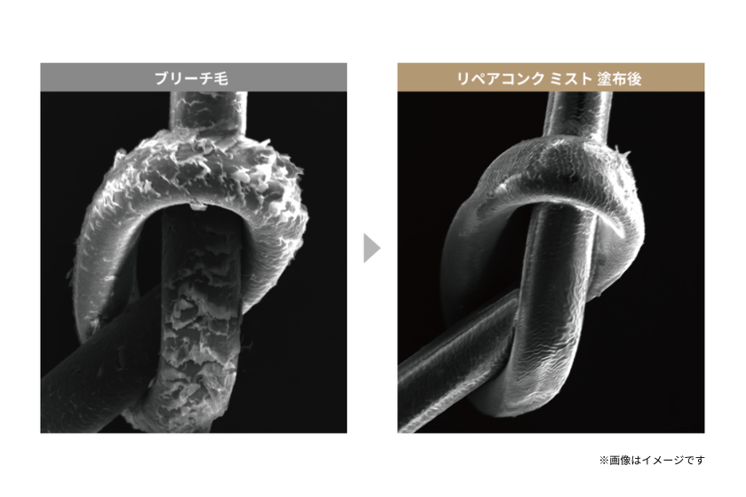 リペアコンクミスト塗布後イメージ