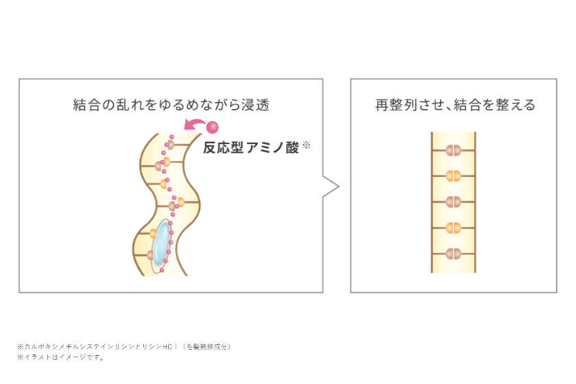 リペアエマルジョンの作用イメージ