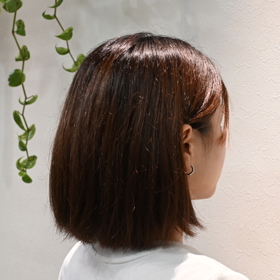 DEMI LABO編集部の画像