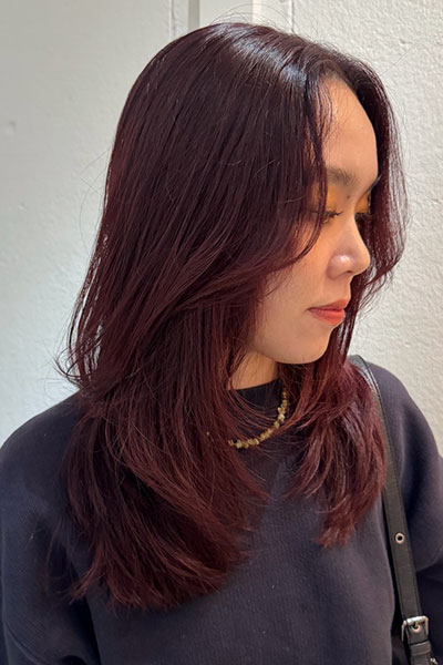 テラコッタレッドの画像