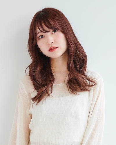 イエベ秋の画像