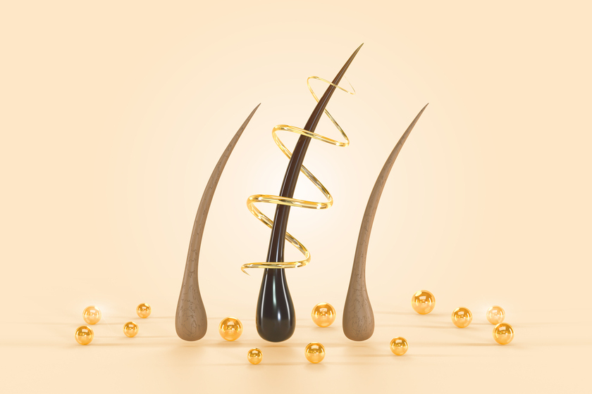 髪の毛のアップの画像