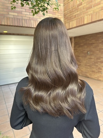 アッシュブラウンの画像