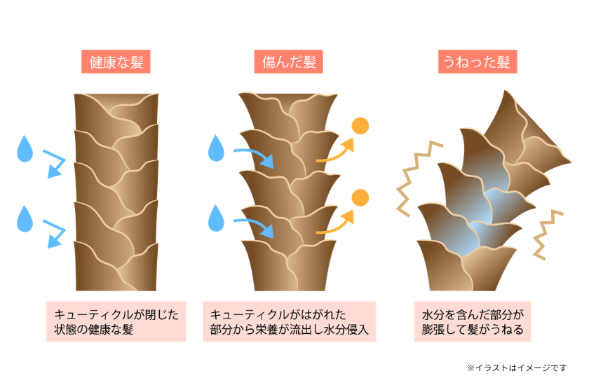 湿気を含んだ髪のイメージ