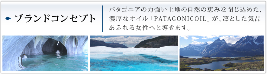 ブランドコンセプト：パタゴニアの力強い土地の自然の恵みを閉じ込めた濃厚なヘアオイル「パタゴニックオイル」