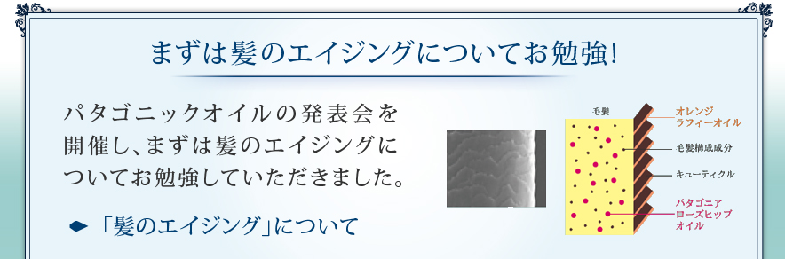 まずは髪のエイジングについてお勉強！