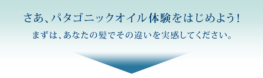 さあ、パタゴニックオイル体験をはじめよう！まずは、あなたの髪でその違いを実感してください。