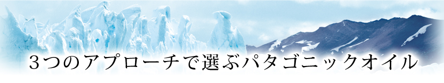 3つのアプローチで選ぶパタゴニックオイル