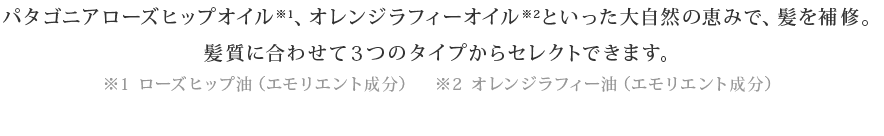 パタゴニアローズヒップオイル、オレンジラフィーといった大自然の恵みで髪を補修。髪質に合わせて3つのタイプからセレクトできます。