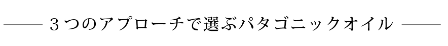 3つのアプローチで選ぶパタゴニックオイル。大自然の恵みで髪を補修髪質に合わせて3つのタイプからセレクトできます。