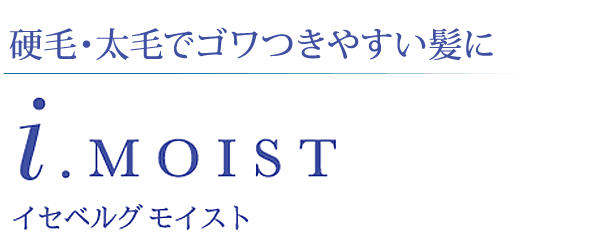 硬毛・太毛でゴワつきやすい髪に【ヘアオイル】i.MOIST　イセベルグ モイスト