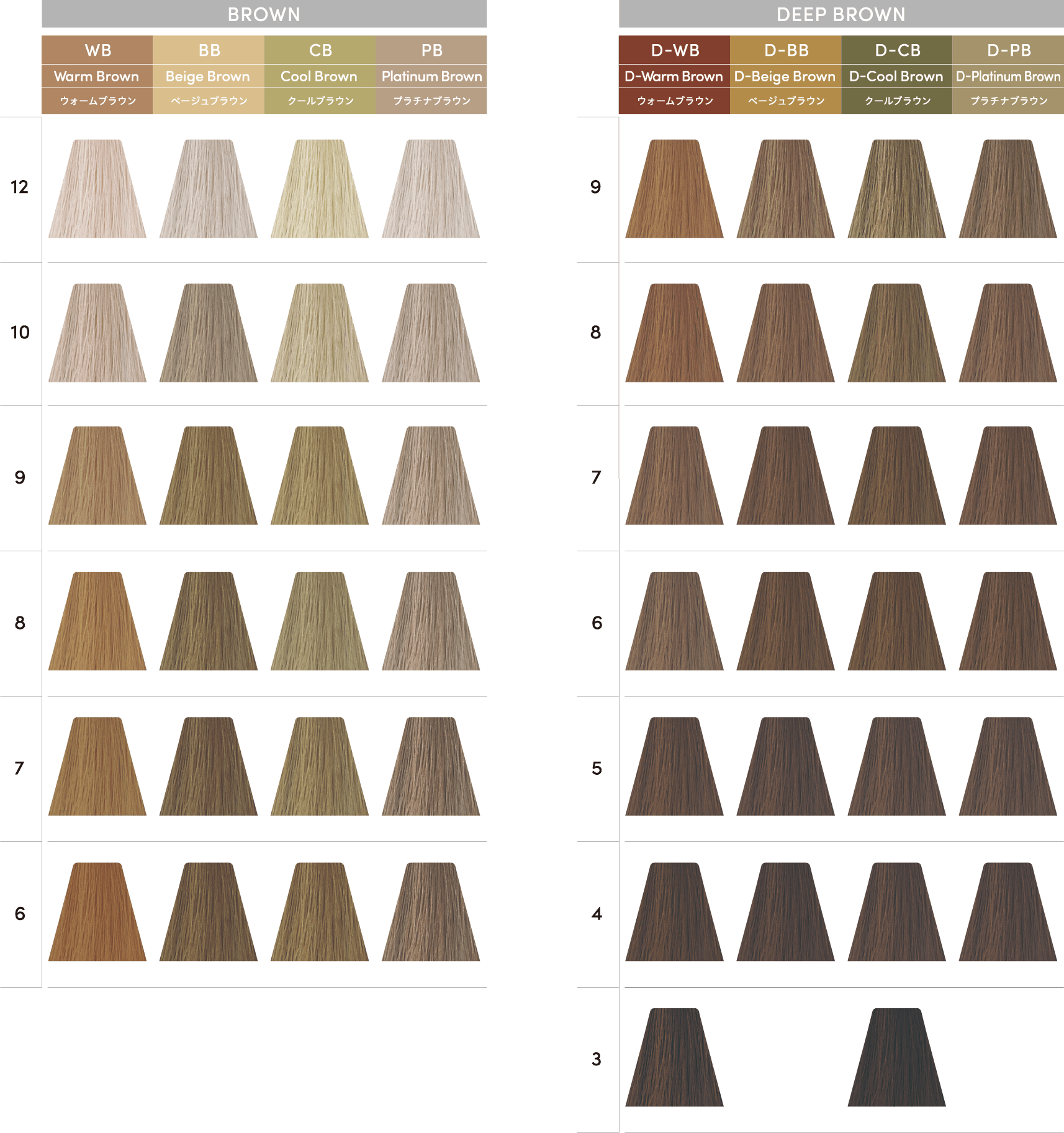 TOIROCTION（トイロクション）ブラウンラインのカラーラインナップ画像