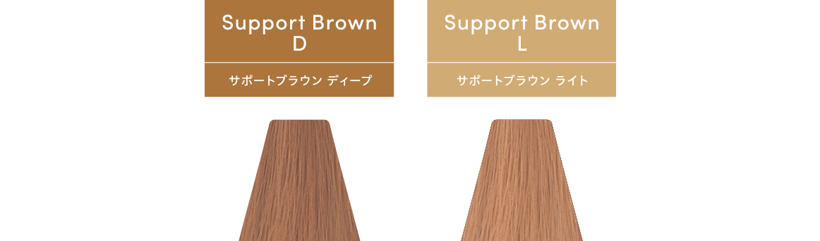 TOIROCTION（トイロクション）サポートブラウンのカラーラインナップ画像