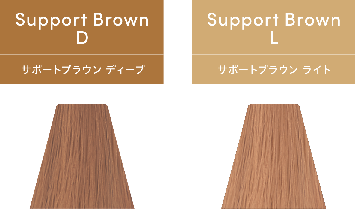 TOIROCTION（トイロクション）サポートブラウンのカラーラインナップ画像