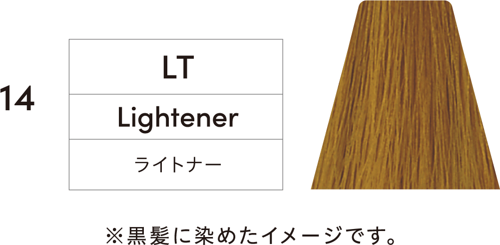 TOIROCTION（トイロクション）ライトナー（LT）を黒髪に染めたイメージ画像