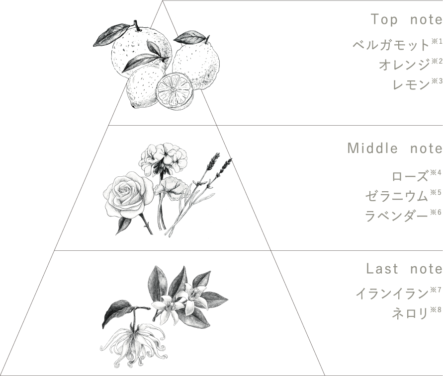 軽やかなシアーベルガモットの香りのイメージ図