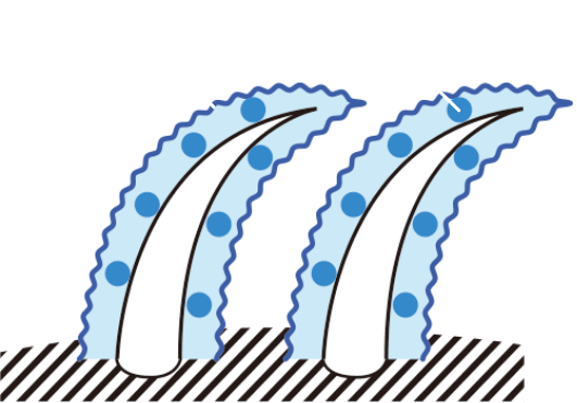 フレックスポリマー、テクスチャーメイク成分の図