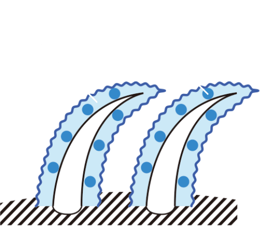 フレックスポリマー、テクスチャーメイク成分の図