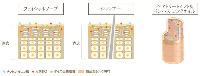 うるおいと輝きを満たす、“美潤ヒアルセラミド”